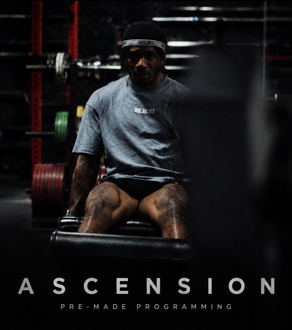 ASCENSION - pre Made Programming